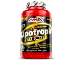 Lipotropic Fat Burner 200kap Amix