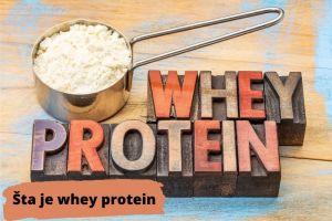 Šta je Whey protein?