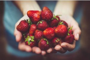 Koliko je voće zdravo? Istina o fruktozi.