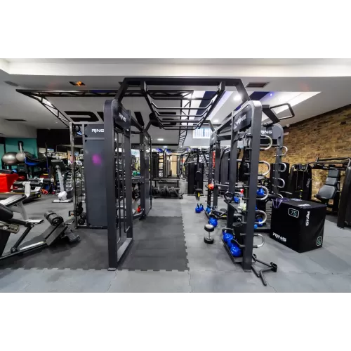 RING Synergy 360 – Profesionalna multifunkcionalna trening stanica
